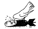 bird eating a bomb